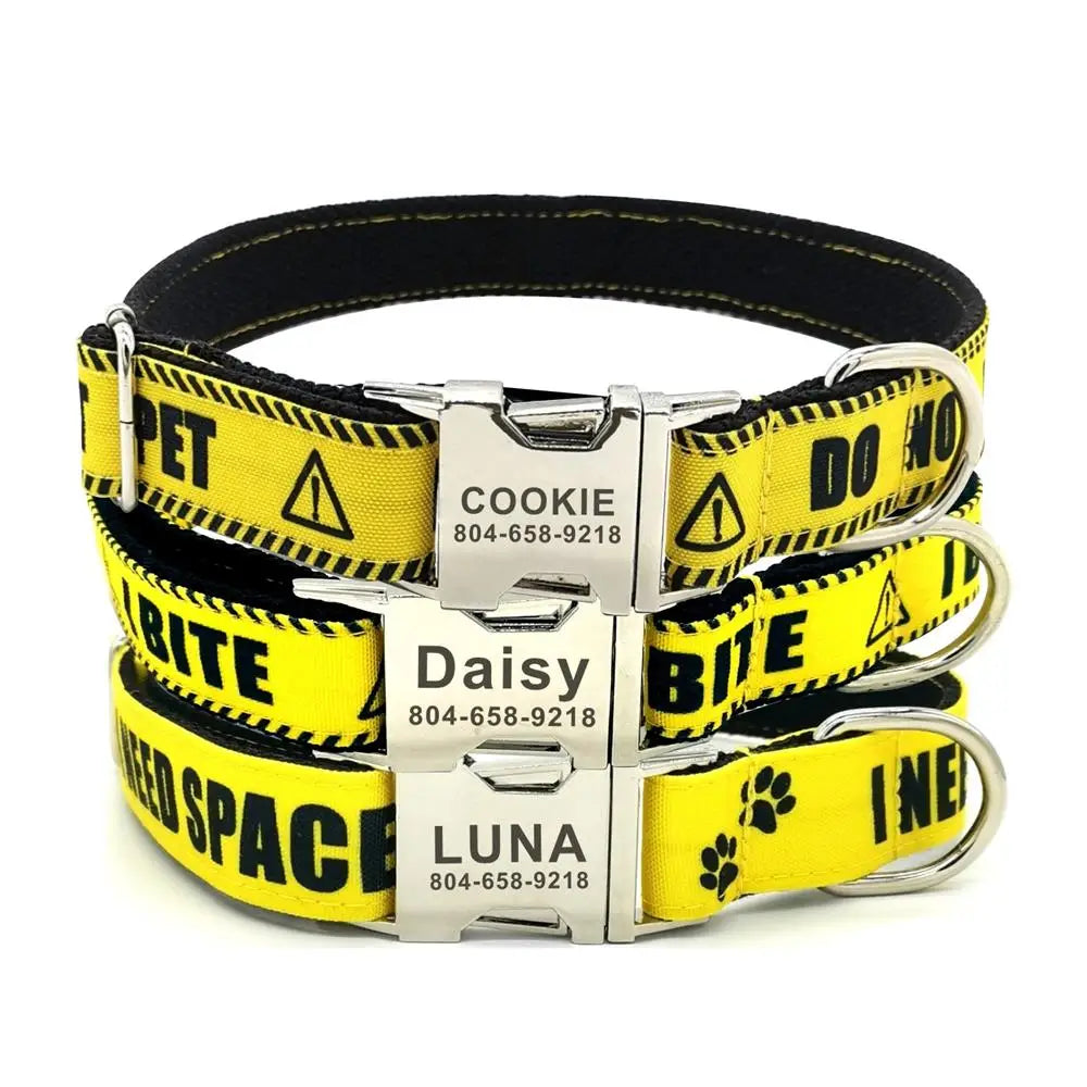 Safety Solutions For Pet Collars photo