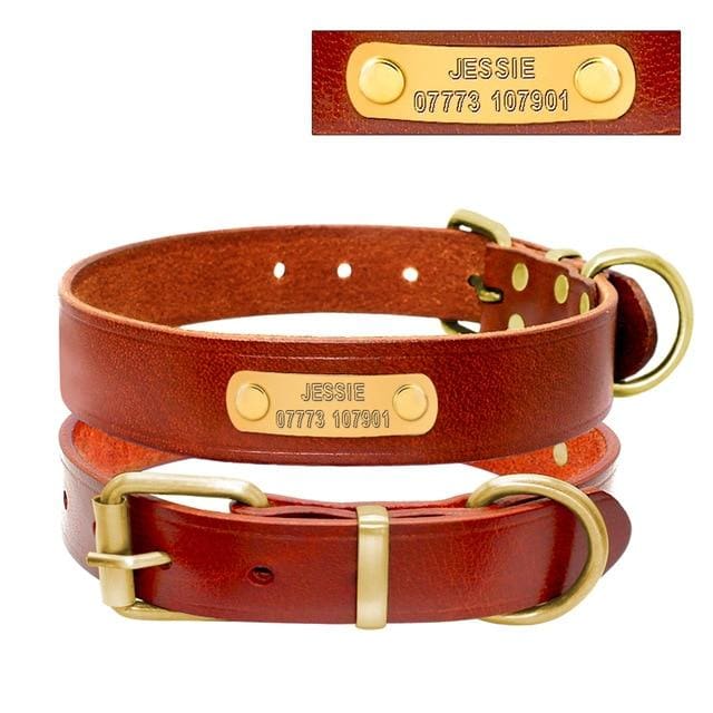 Custom Engraved Brown Leather Collar - Brown / L