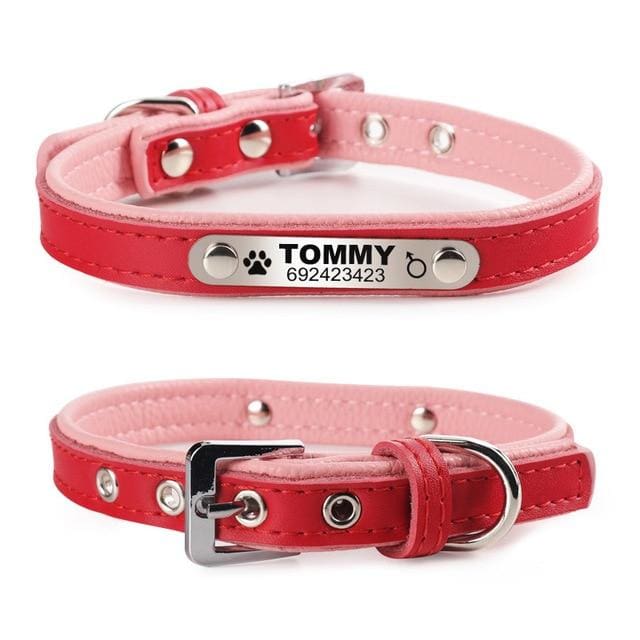 Personalized Leather Pin Buckle Dog/Cat Collar - Red / L