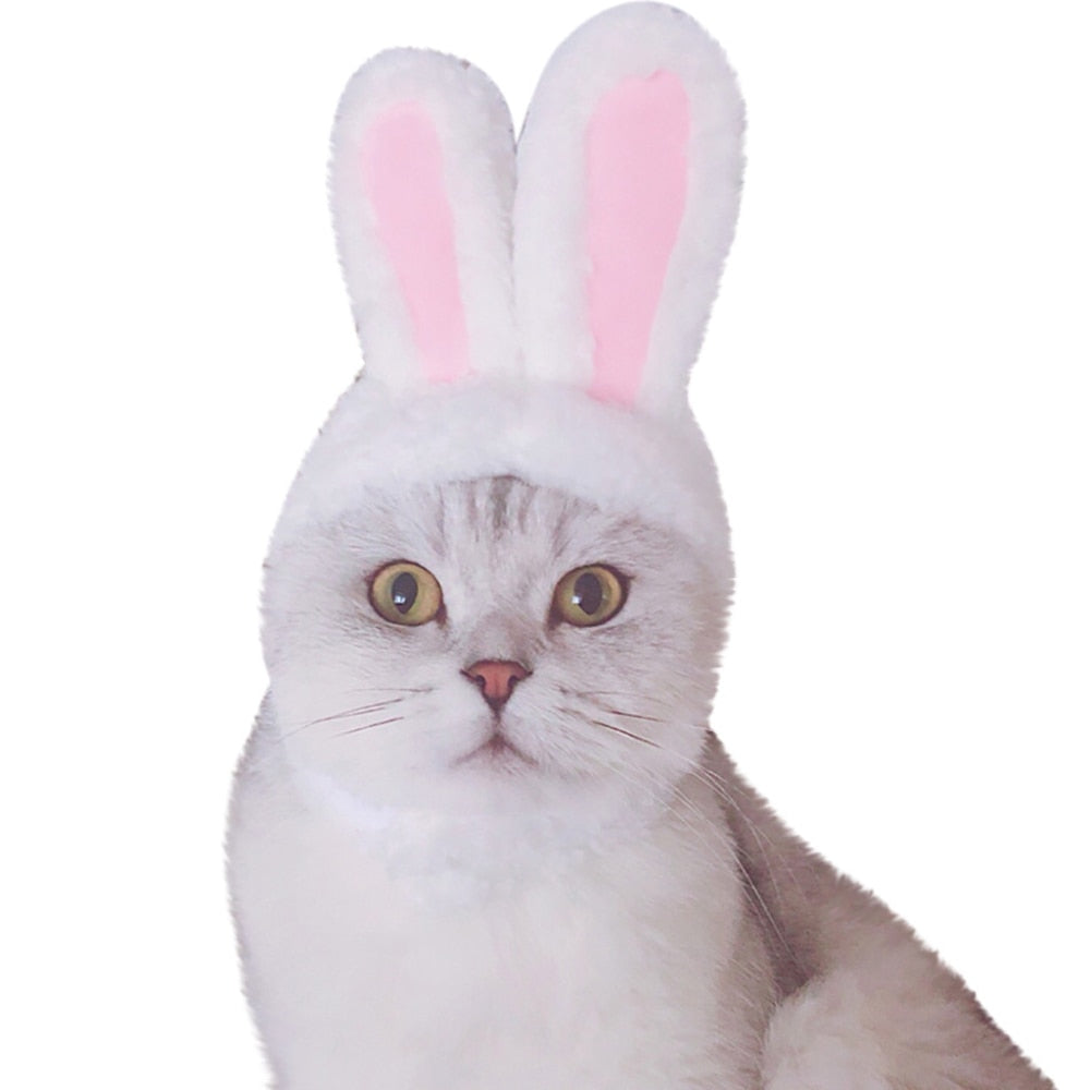 Easter Rabbit Ears