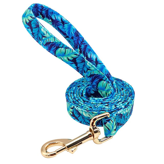 Matching Nylon Dog Leash with Gold Clasp