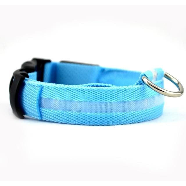 LED Glow In The Dark Dog Safety Collar - blue / S