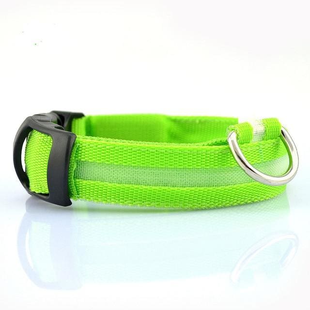 LED Glow In The Dark Dog Safety Collar - green / S