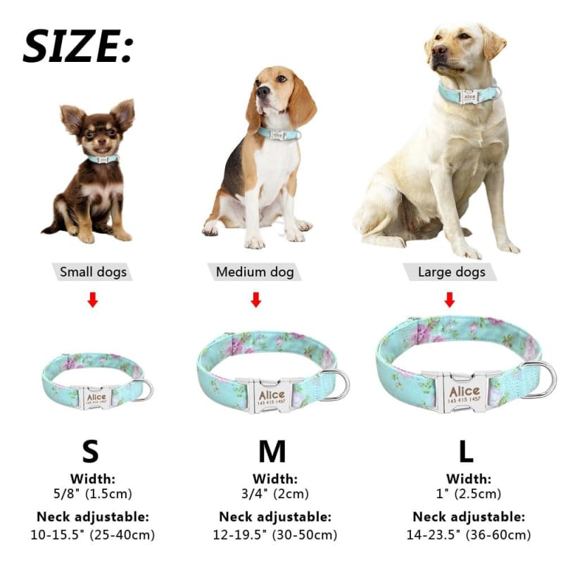 Personalized Dog Collar with metal buckle