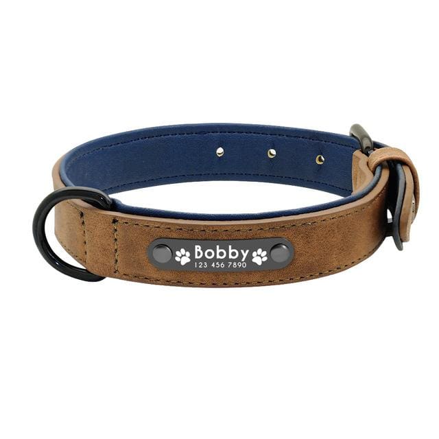 Personalized Leather Pin Buckle Dog Collar - Coffee / S