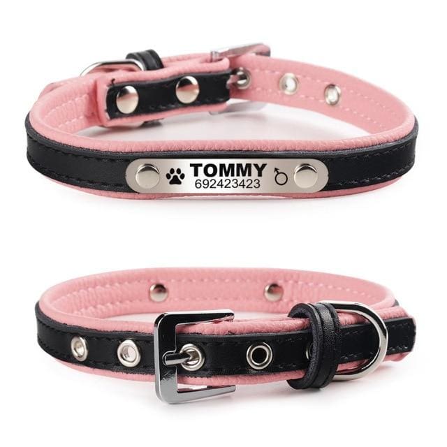 Personalized Leather Pin Buckle Dog/Cat Collar - Black / L