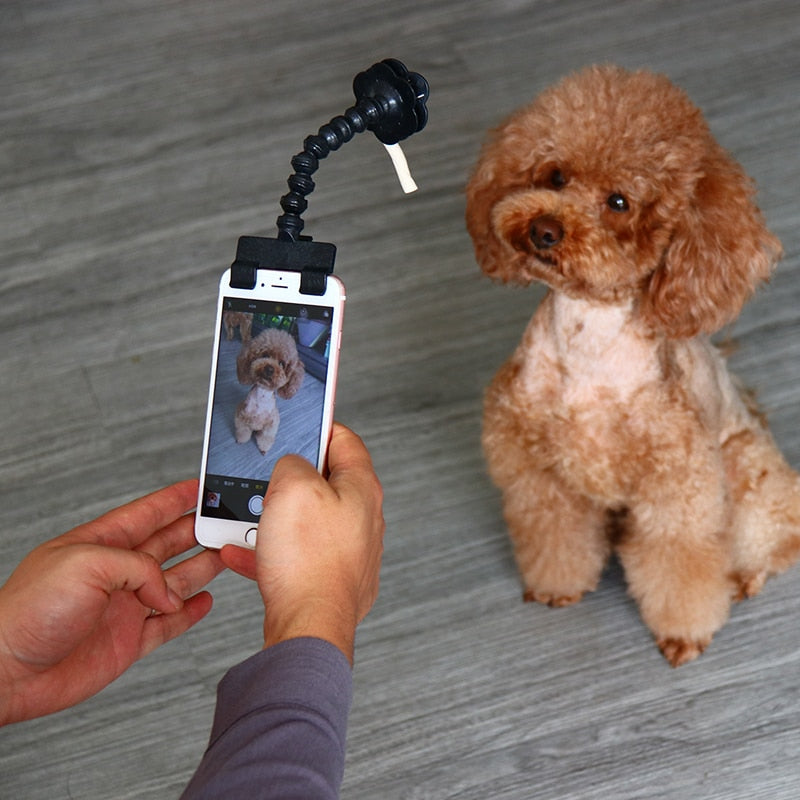 Pet Selfie Stick Attention Grabber