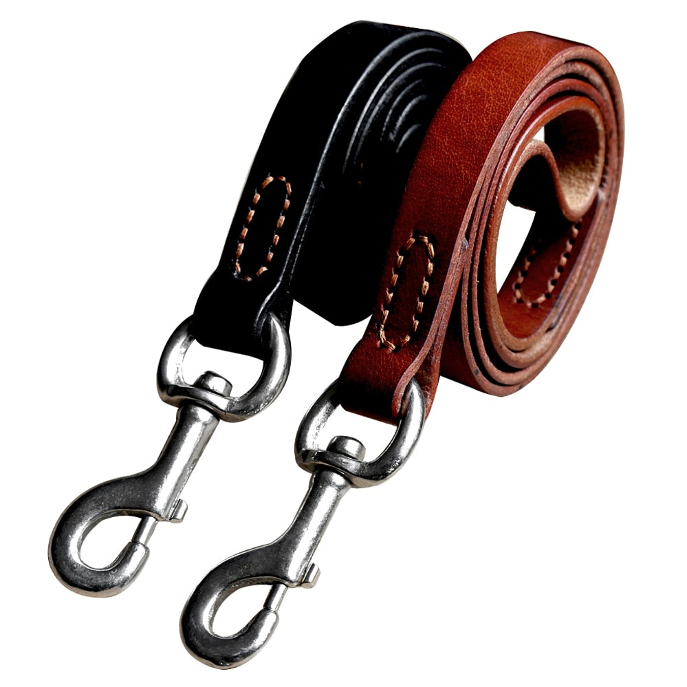 Strong Leather Leash – The Pampered Pet
