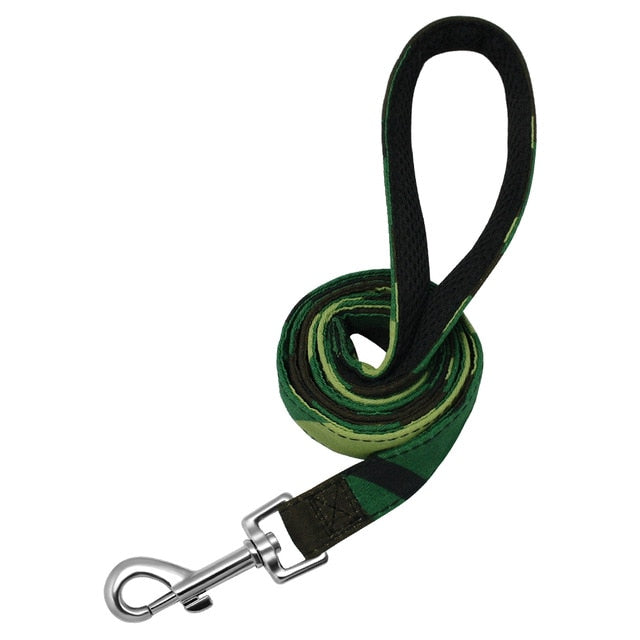 Matching Nylon Leash with Silver Clasp