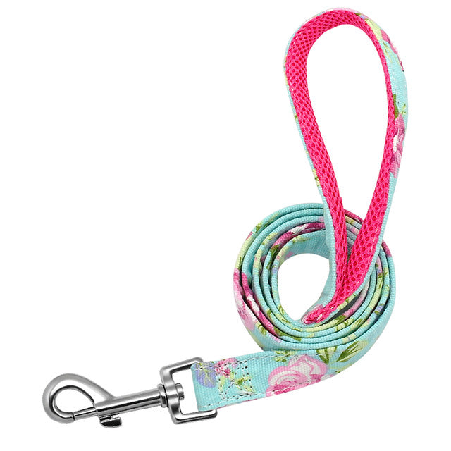 Matching Nylon Leash with Silver Clasp